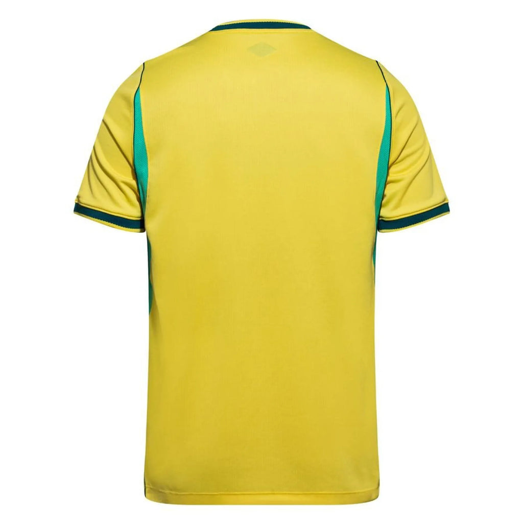 Brésil coupe du monde 2026