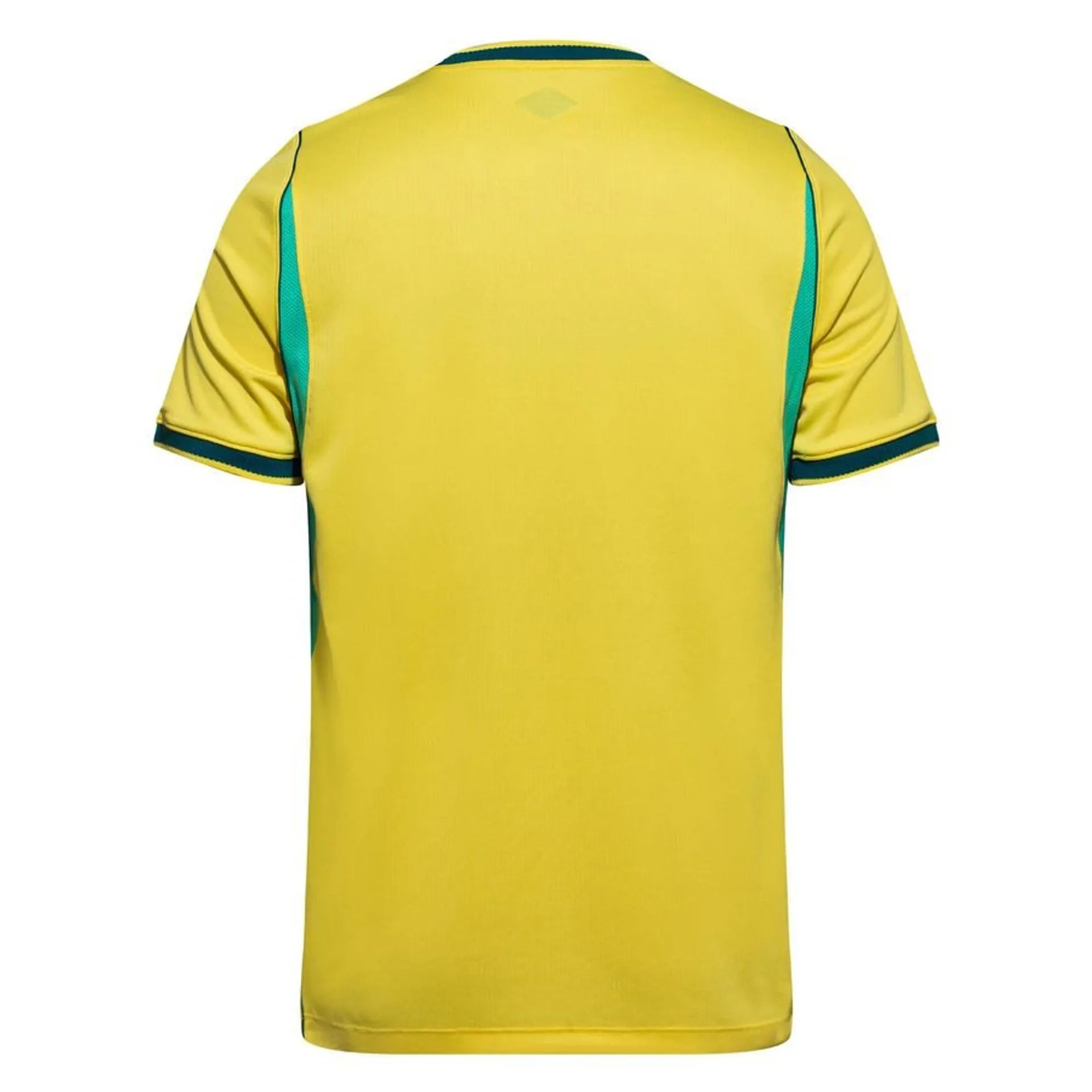Brésil coupe du monde 2026